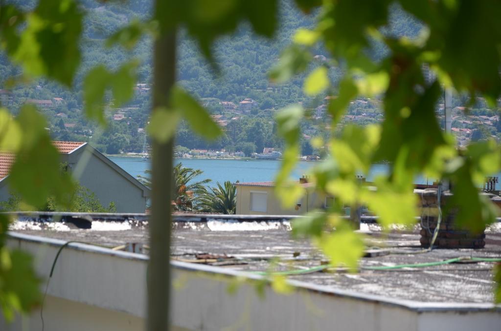 达高维克公寓酒店 科托尔 外观 照片